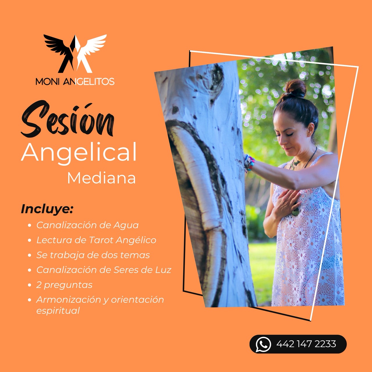 Flyer Sesión Mediana