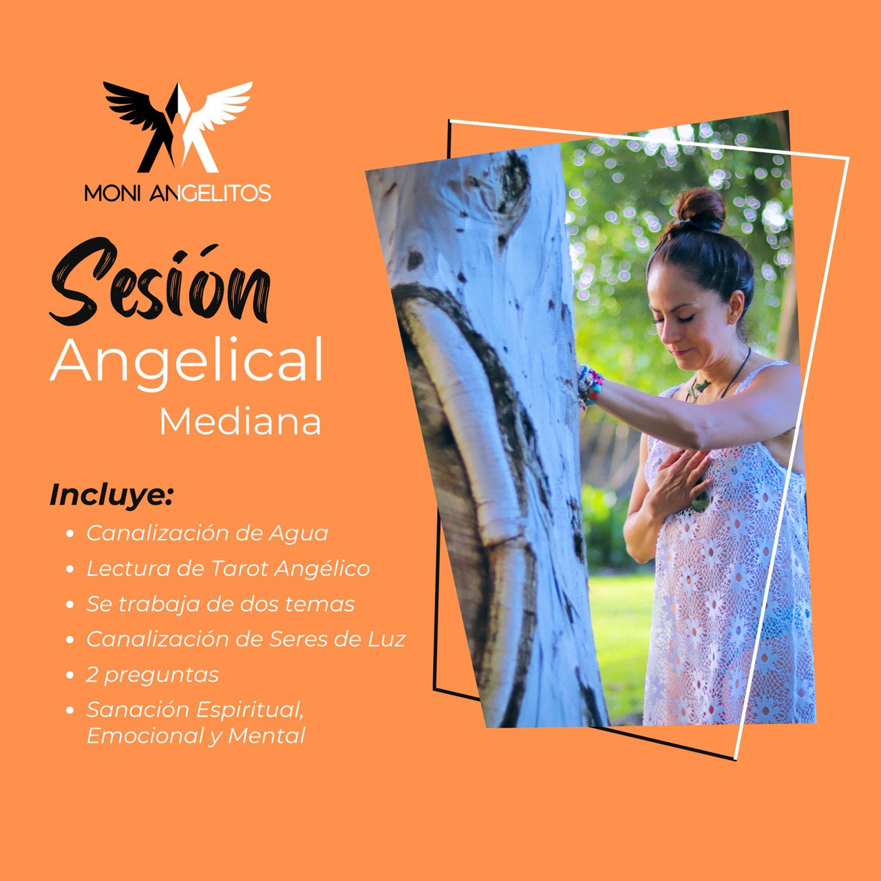 Flyer Sesión Mediana